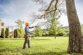 Basin, WY Tree Care Company